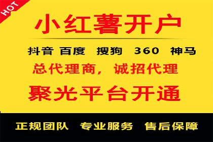 成功案例：信息流广告的创意与市场反应
